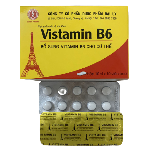 Vistamin b6 đại uy (h/100v)