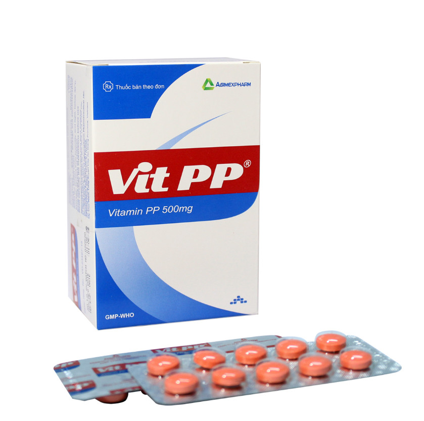 Vit Pp Vitamin Pp 500mg Agimexpharm (h/100v)