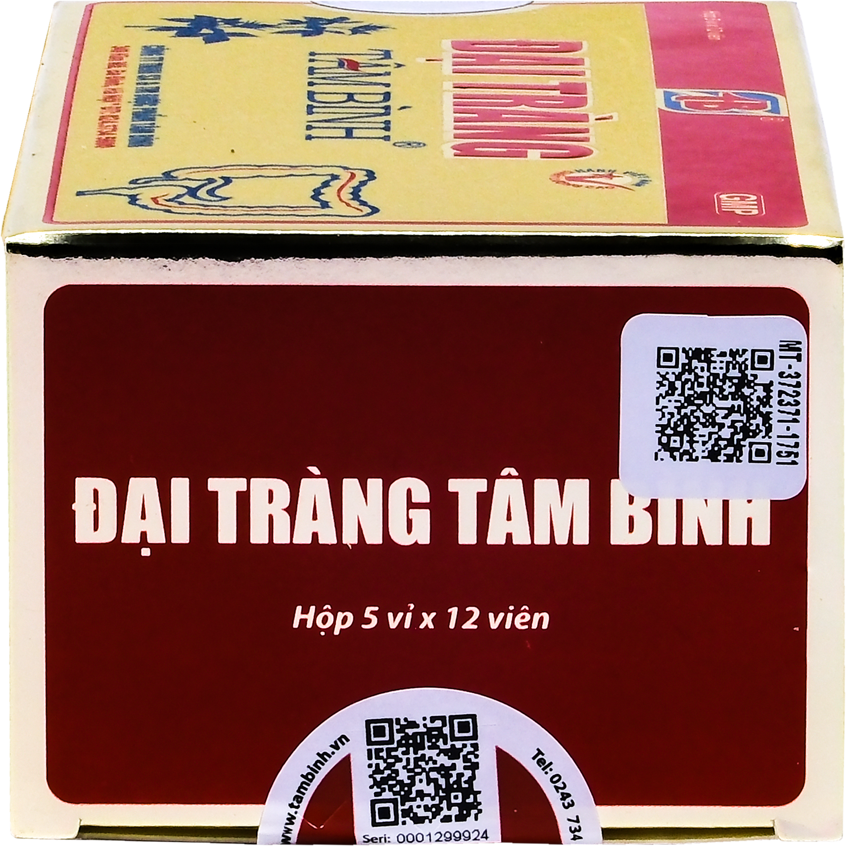 Đại tràng Tâm Bình (h/60v)-5