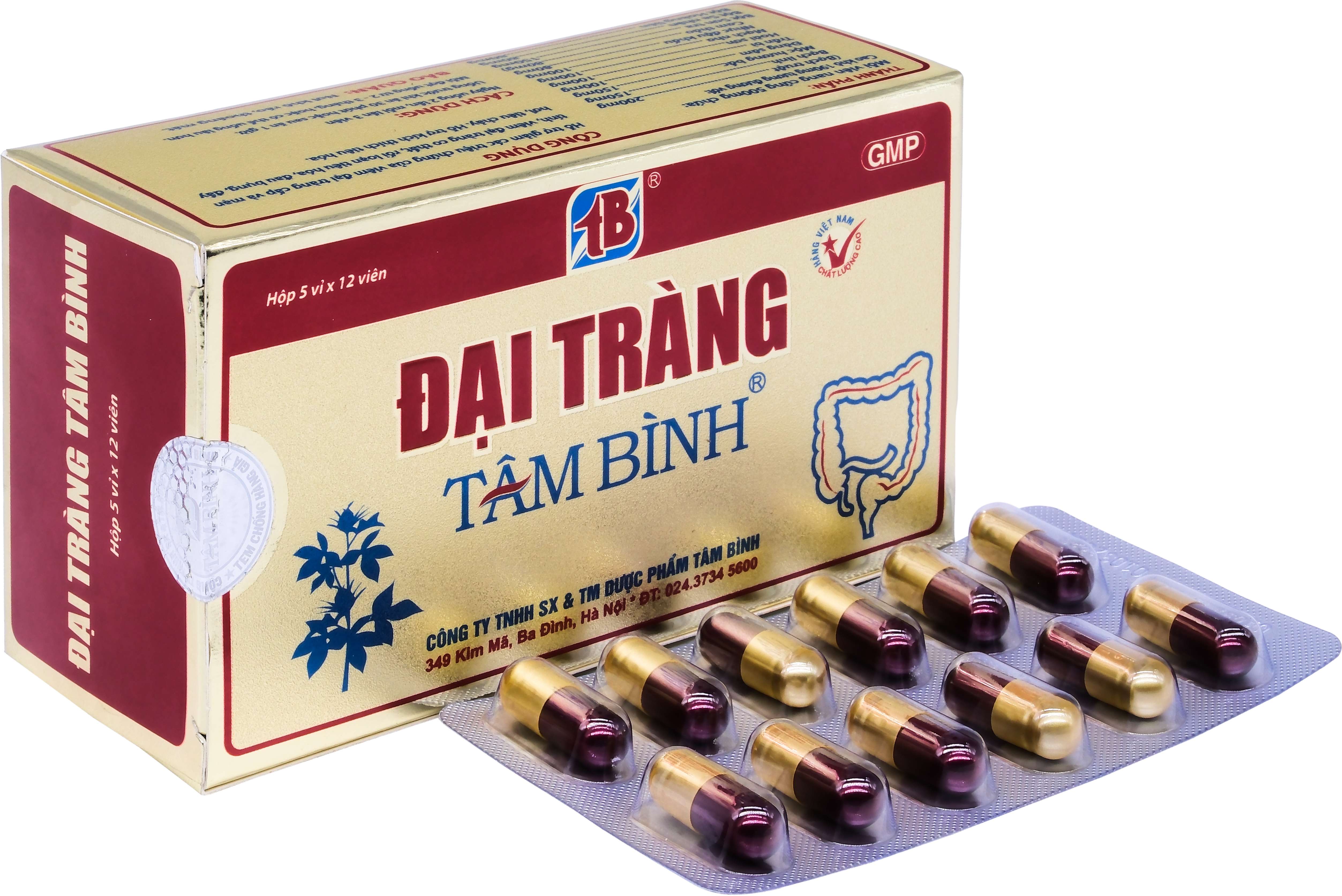 Đại tràng Tâm Bình (h/60v)