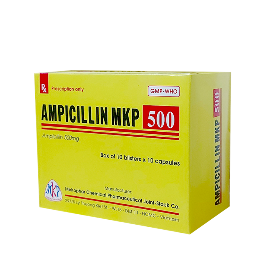 Ampicillin 500mg mekophar (h/100v)