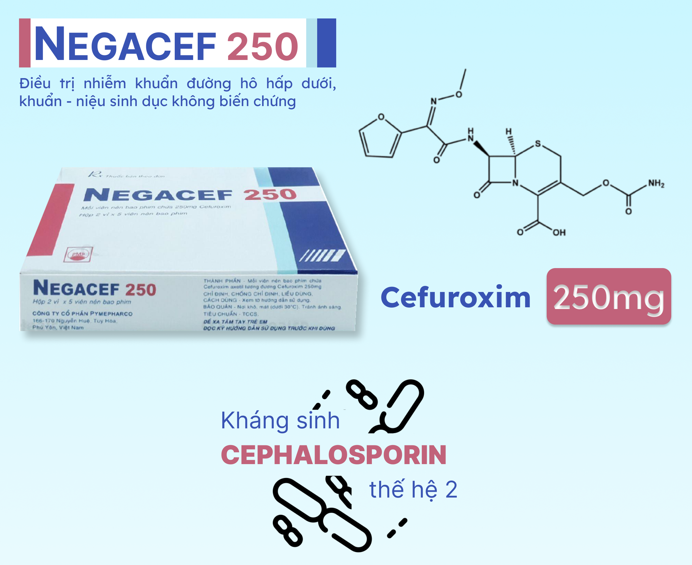 Thuốc kháng sinh Negacef 250 (Hộp 10 viên) - Giá Tốt, Chính Hãng | Circa
