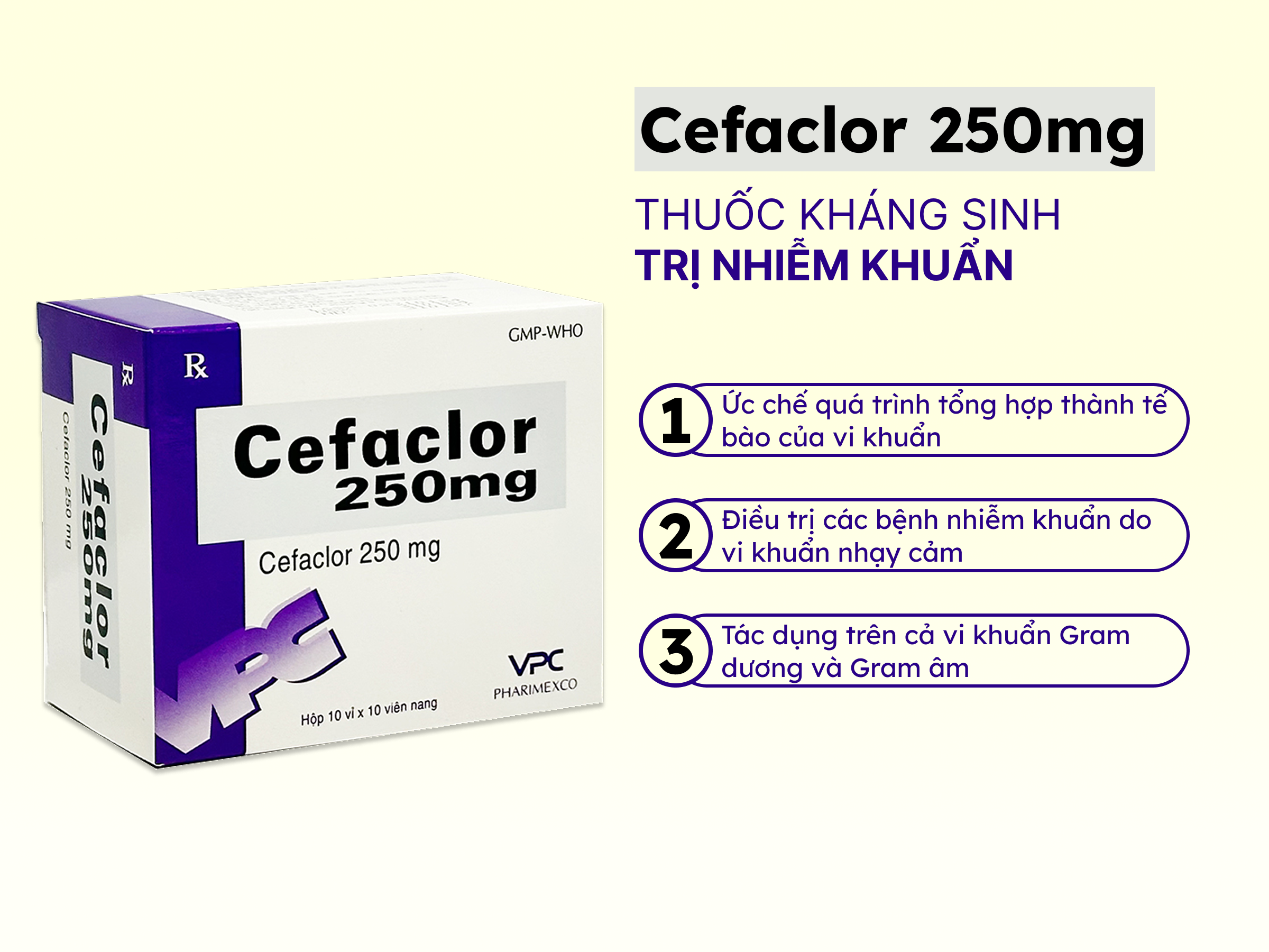 Thuốc kháng sinh Cefaclor 250 Cửu Long (Hộp 100 viên) - Giá Tốt, Chính ...