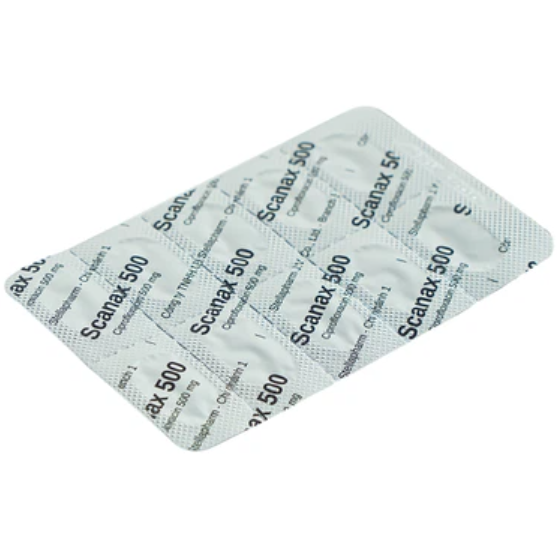 Thuốc kháng sinh Scanax 500 vỉ nhôm (Hộp 50 viên) - Giá Tốt, Chính Hãng ...