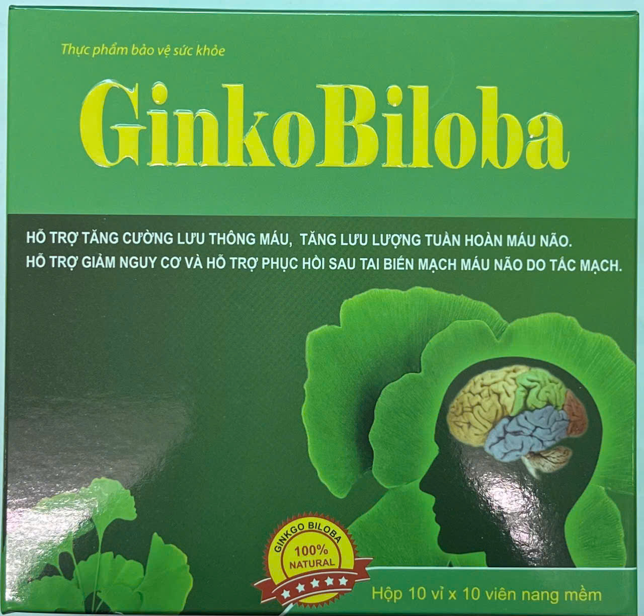 Tăng cường máu não Ginkobiloba Vinaphar