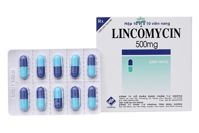 Lincomycin 500mg vidipha (h/100v)