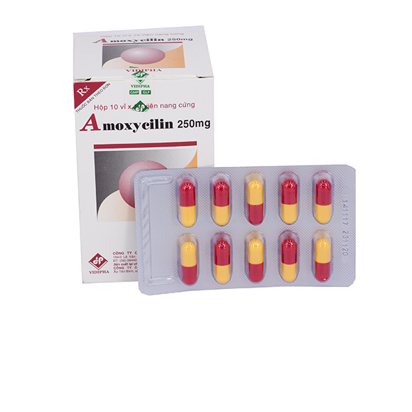 Amoxycilin 250mg vidipha (h/100v)-3