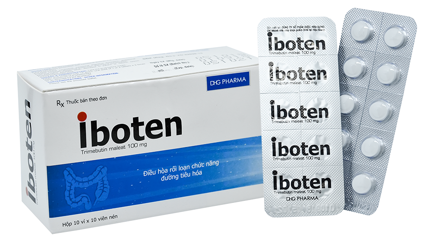 Iboten 100mg dhg (h/100v)